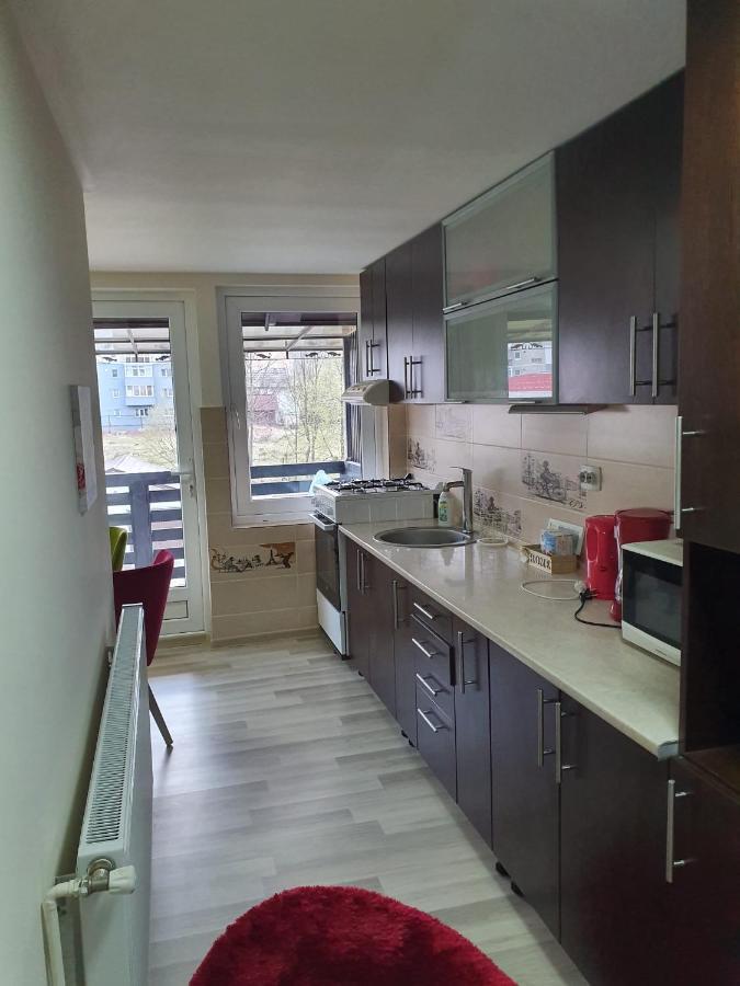 Villa Coca Câmpulung Moldovenesc Eksteriør bilde