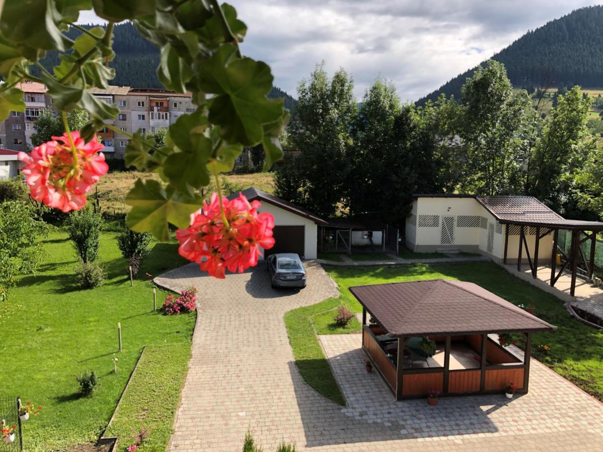 Villa Coca Câmpulung Moldovenesc Eksteriør bilde