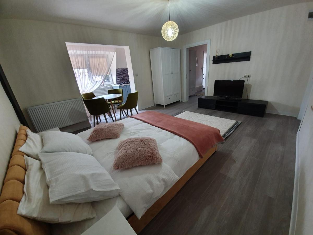 Villa Coca Câmpulung Moldovenesc Eksteriør bilde